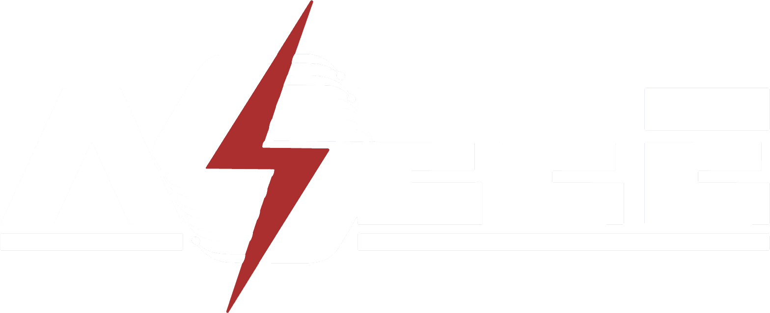 American Society for Electrical and Electronics Engineers